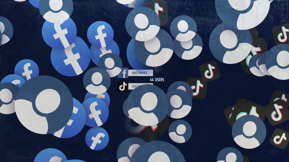 fb&tiktok